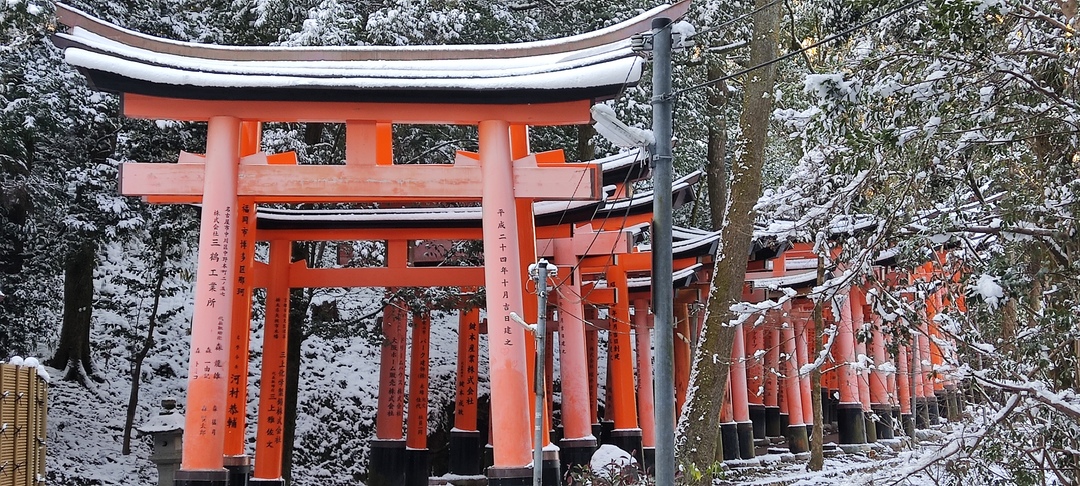 Fushimi inari