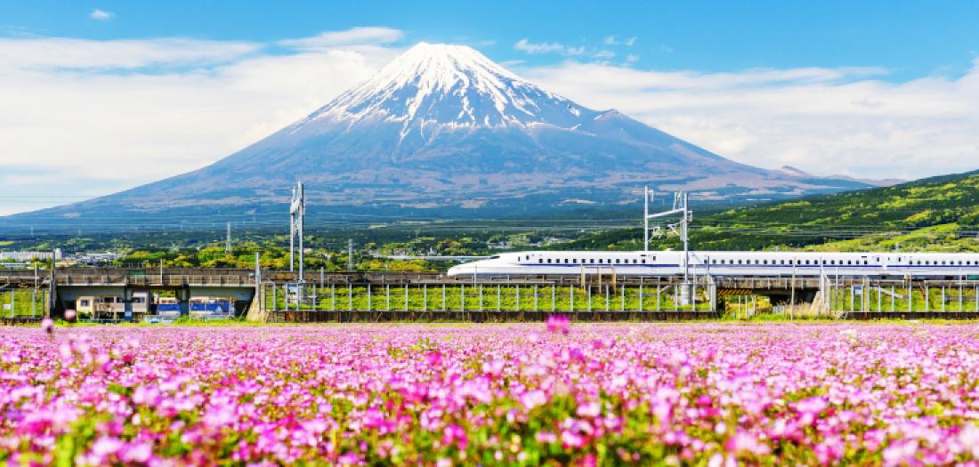 monte fuji