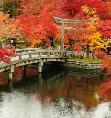 momiji